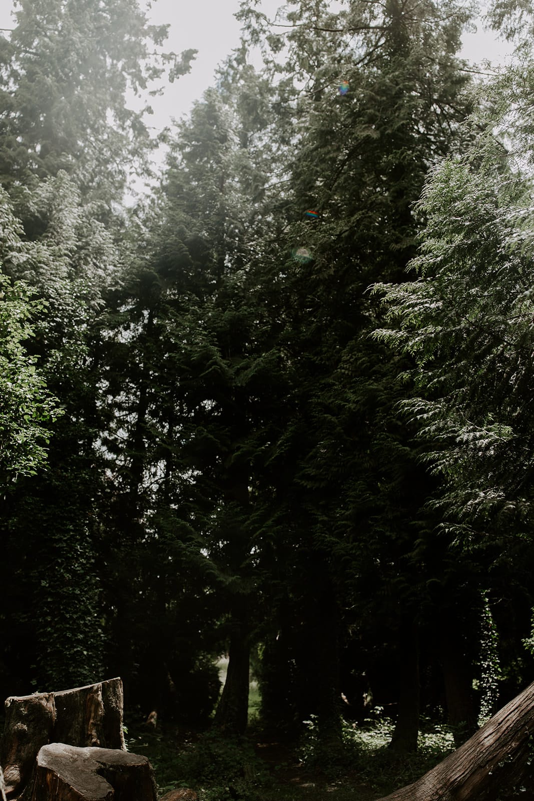 mariage_chateau_la_flocelliere_vendee_flavie_nelly_photographe-83-obonheurdesdames-decoration-mariage-location-vegetal